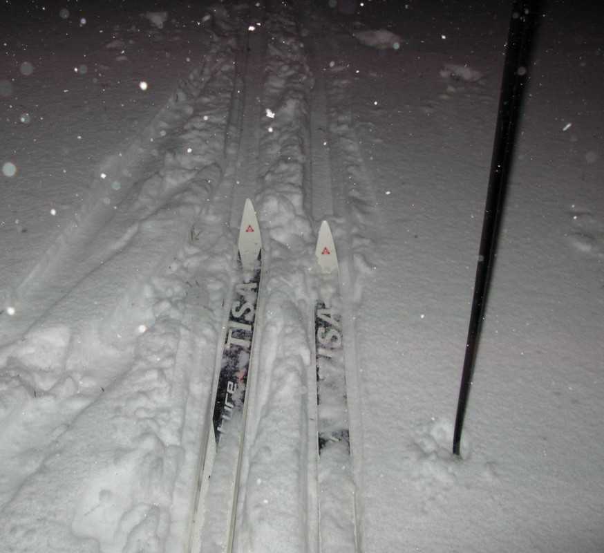 IMG-1102.jpg