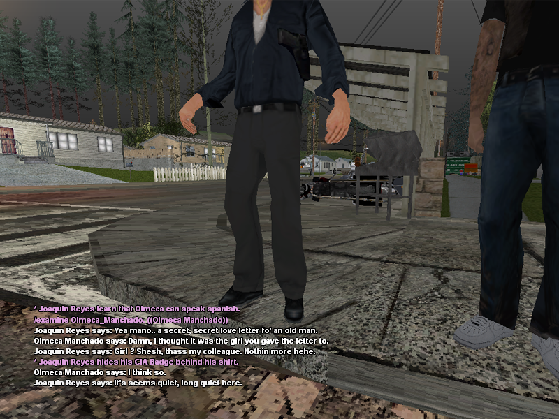 SSRoleplay428.png