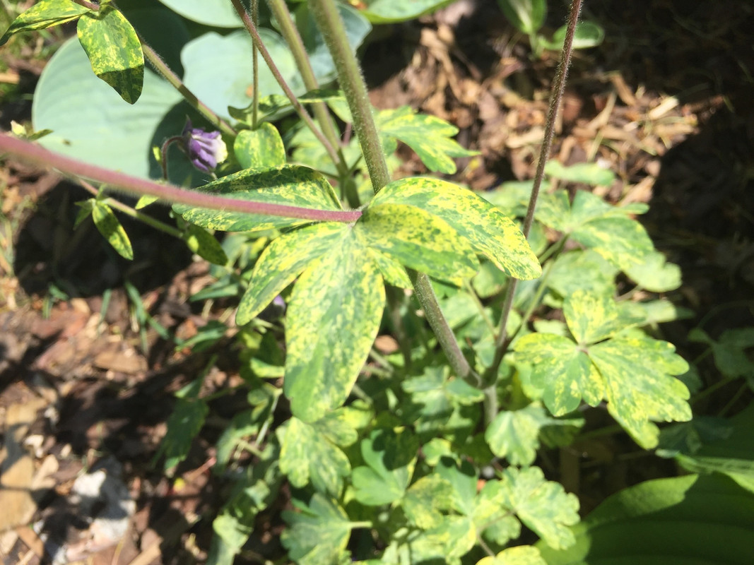 C035E4B1-88DE-469A-8A8E-CA0A0352C5F2