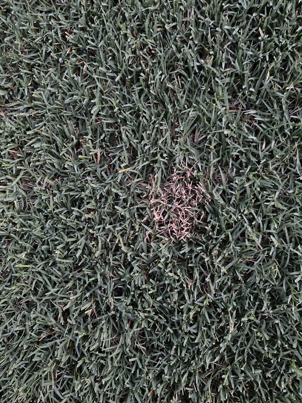 E12446D4-97F4-452D-B416-FB515BF9E534