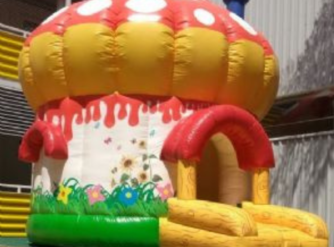 Pula-Pula Cogumelo - Foto 4