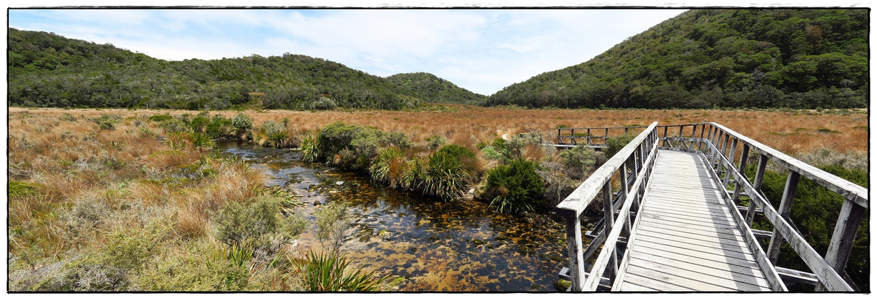 Kahurangi NP: Heaphy Track (Navidad 2020, III) - Escapadas y rutas por la Nueva Zelanda menos conocida (26)