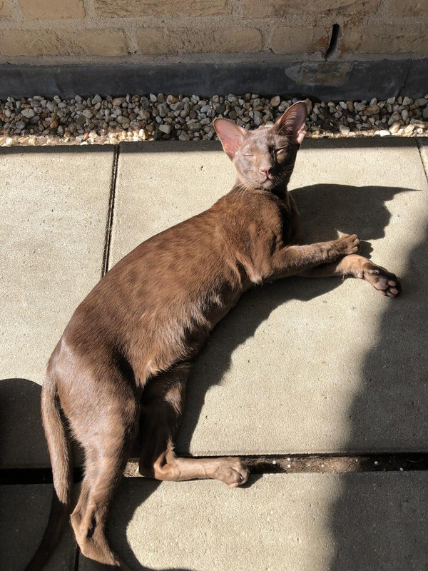 8D4C9E9F-87C3-4CE3-B993-6AF48E4E53B6