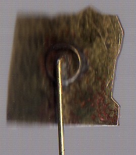 img223