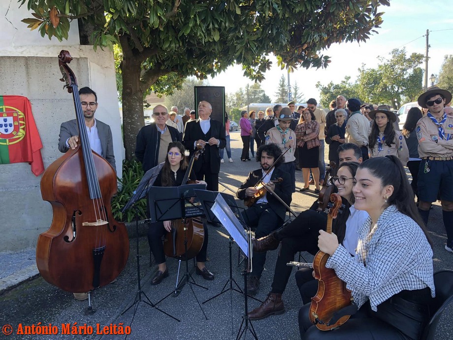 315562191-1907008372964704-3138230098965162156-n