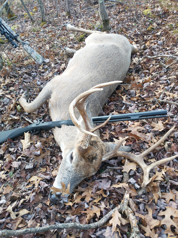 IMG_20211120_093204966