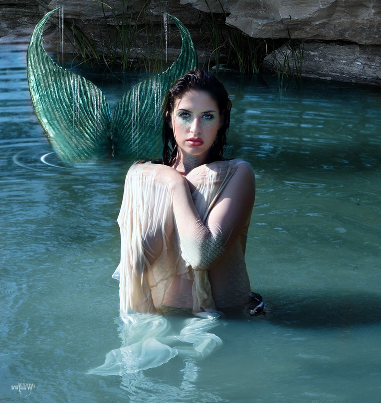 http://fc07.deviantart.net/fs50/i/2009/261/0/a/The_Mermaid_by_Wildfire2003.jpg