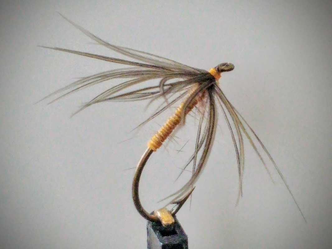 P_20200417_142636_HDR