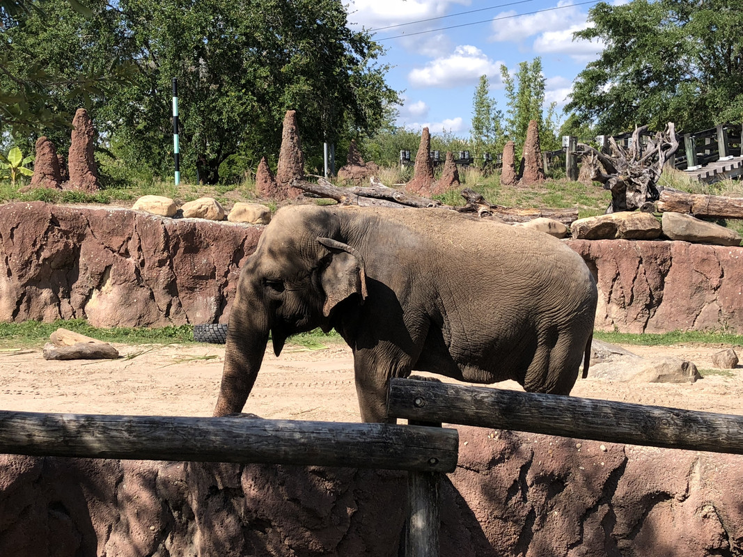 8A037371-A52C-4AF5-B656-F6F69D4E9A50