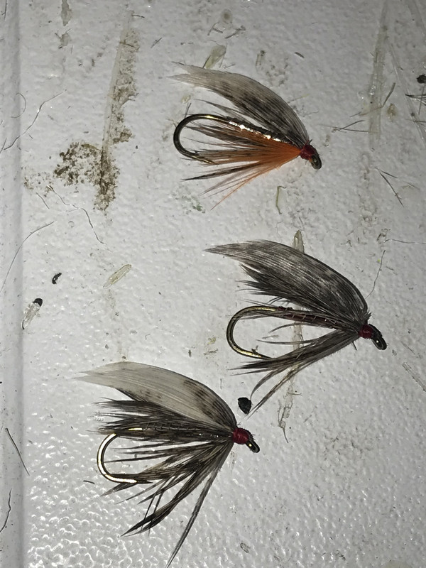 9DEACC8F-36AD-464F-BA9B-C0281F89F147