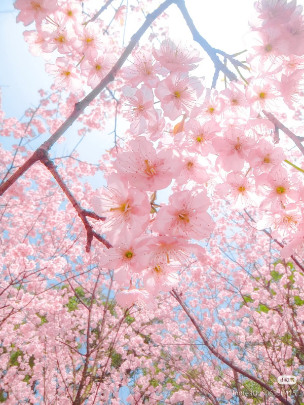 photo 3 2026 01 16 22 11 28