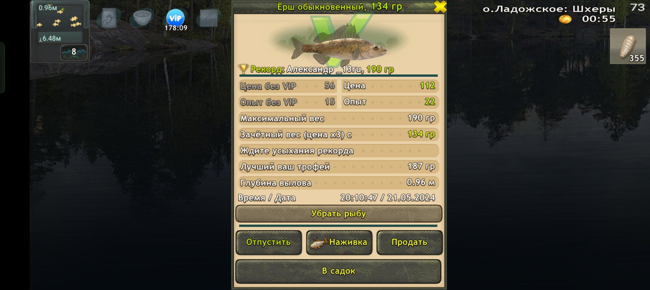 Screenshot-2024-05-21-20-10-56-02-fa28ee