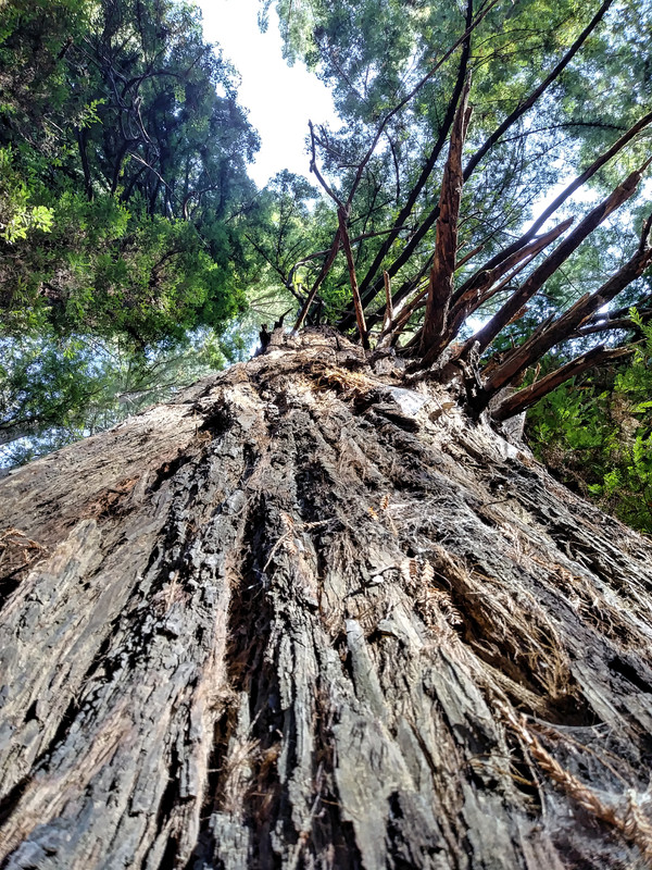 1101181547-HDR.jpg