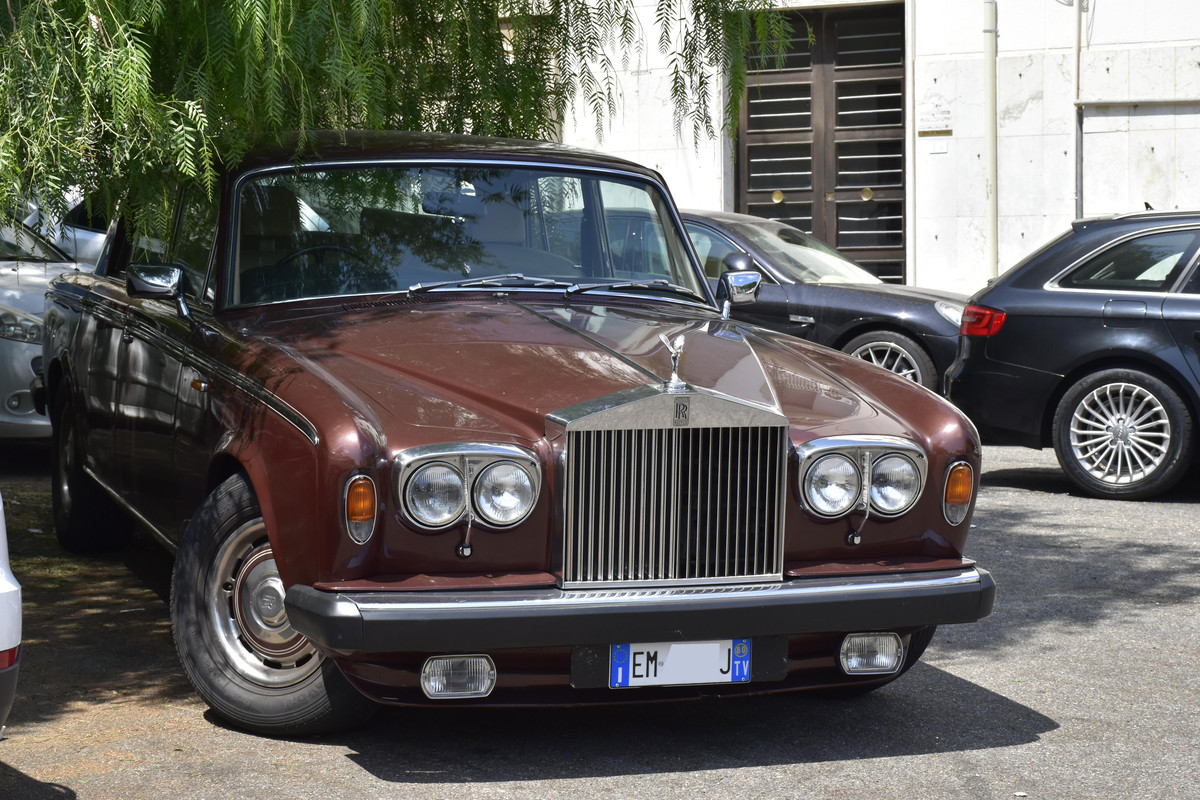 i.postimg.cc/C5tkn4bJ/DSC0094-5.jpg