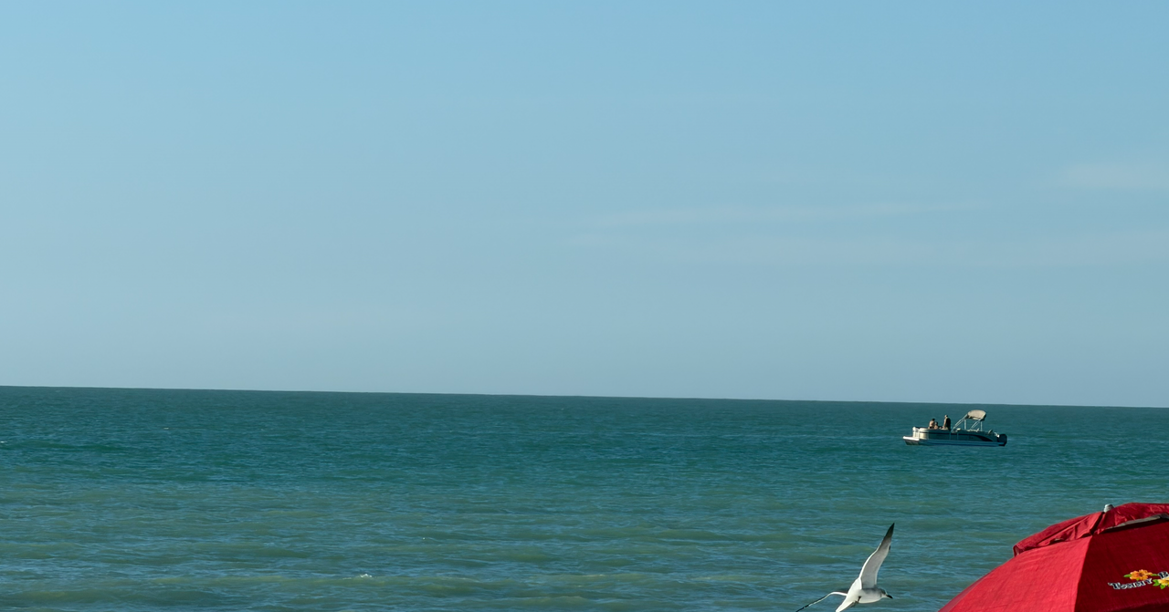 [Image: Marco-Island-Fla29.png]