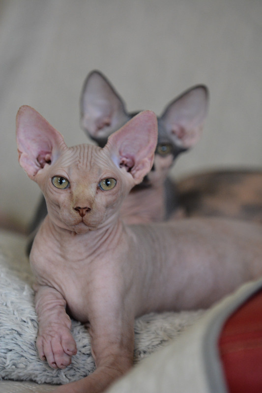 50096E75-94AC-40AB-9DB1-A5622409A770