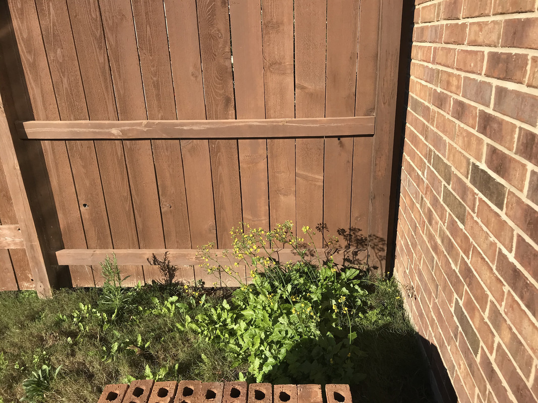 8F68E41A-2DD1-4528-B463-F86E5E8F2C93