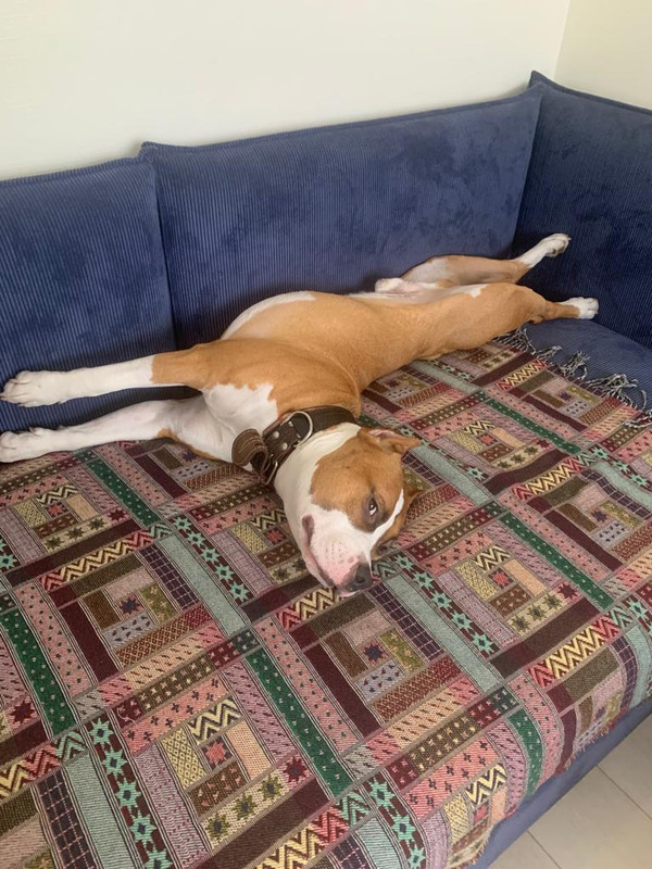 2D903AF1-2E00-46DD-B715-7CA9CAC9689D