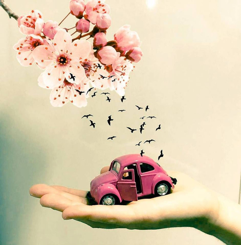 ���� ���� ������ �� ���� ������