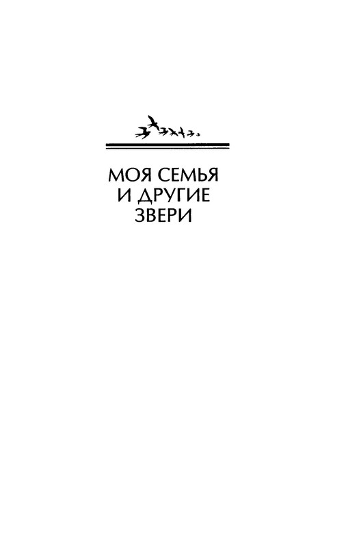 p0026