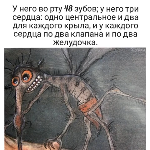 028