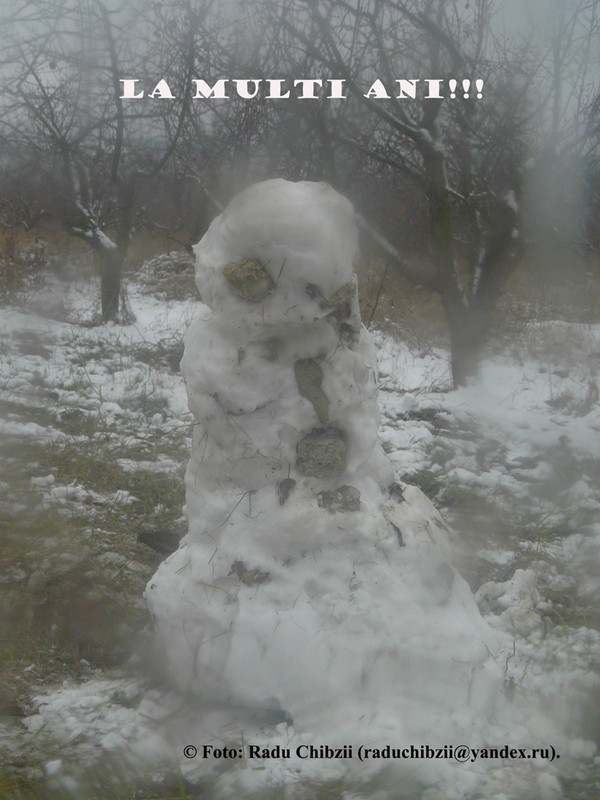 P1480012-1.1 (1028) - копия