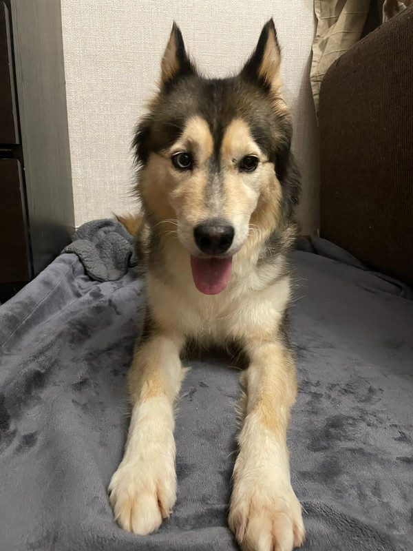 0A2053DD-C4E0-4C53-B0B7-F5C3696D3B00