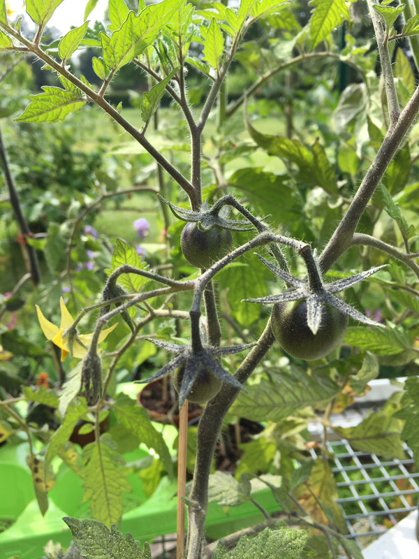 9E184574-4C44-4D48-AE62-24F32AC6E58D