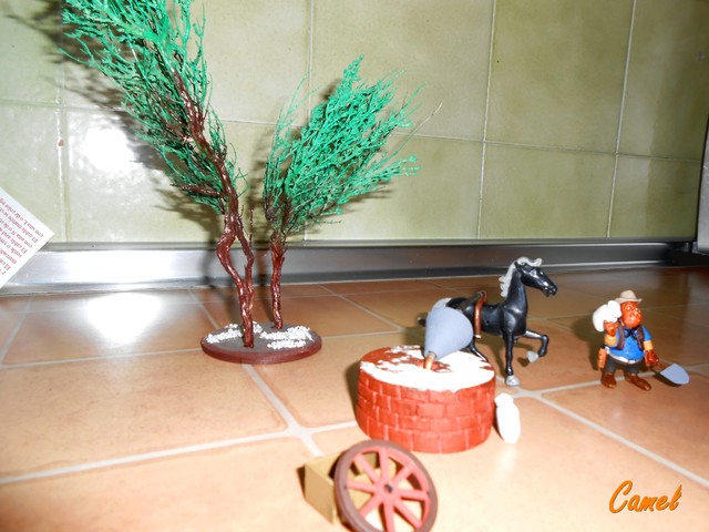 DSCN7892