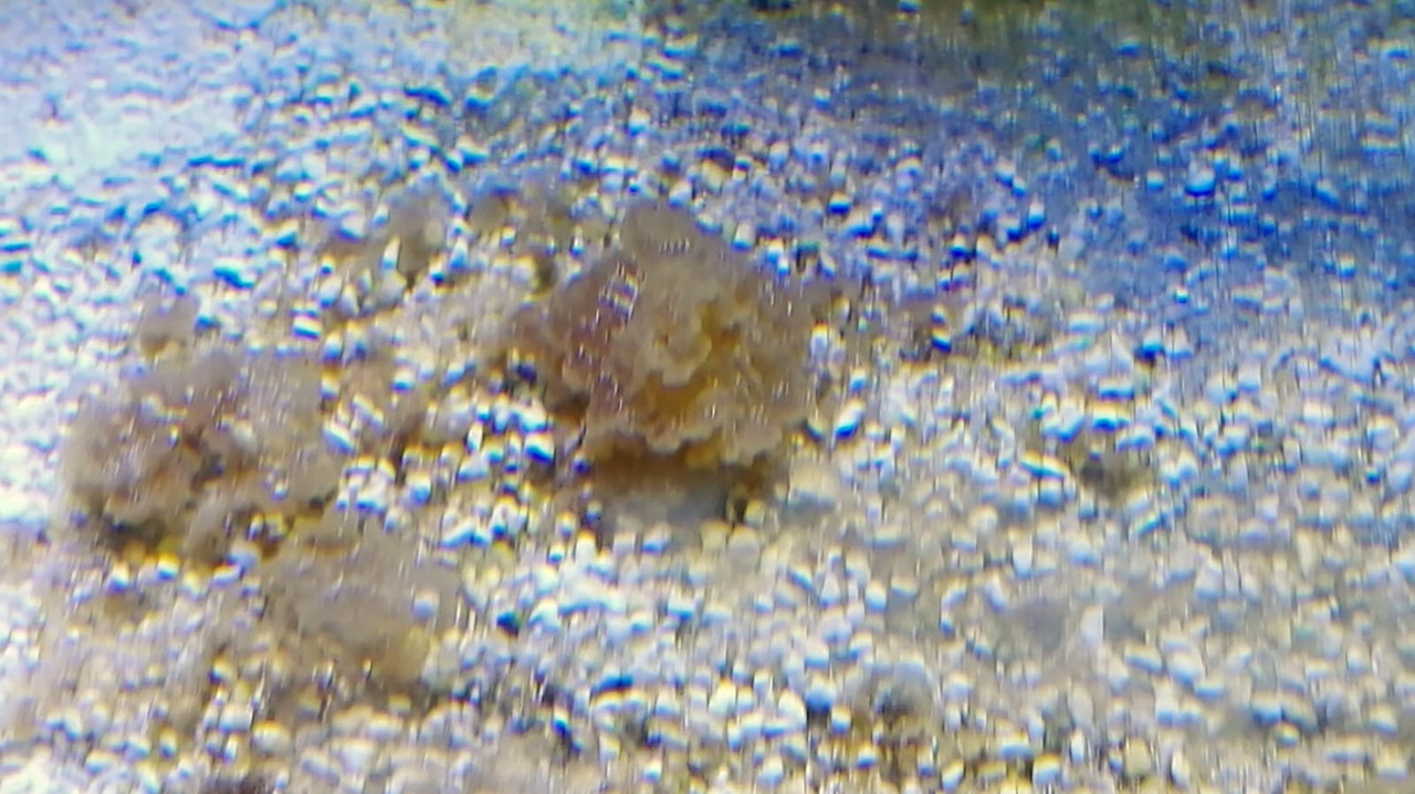 WhatsApp Image 2019-09-04 at 15.43.33 (1)