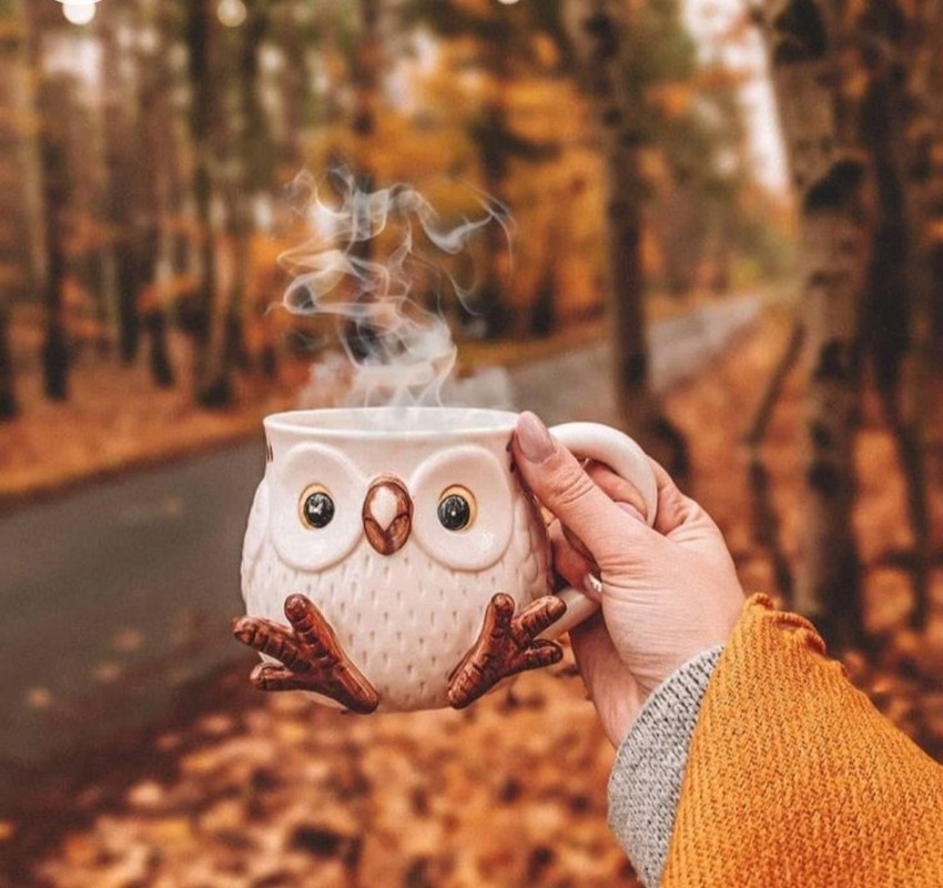 Screenshot_20221226_234914_Chrome