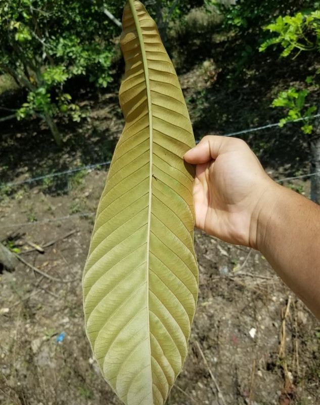 Screenshot 20251221 012126 Facebook