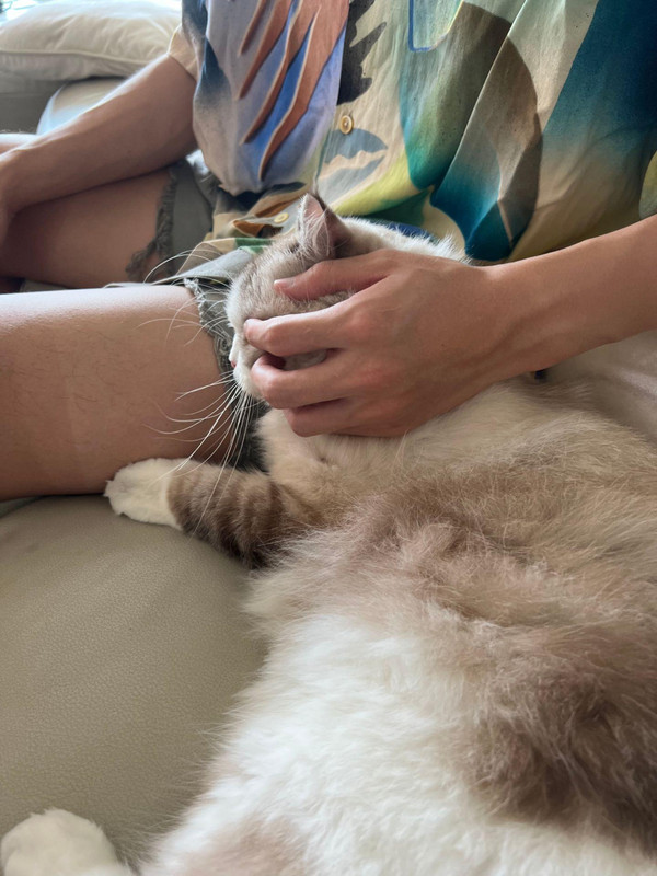 oourIaLpA3GrQuerBAGAQrKu7EOAqEABA6Ifew~tplv-dy-aweme-images-v2_3000_3000_q75