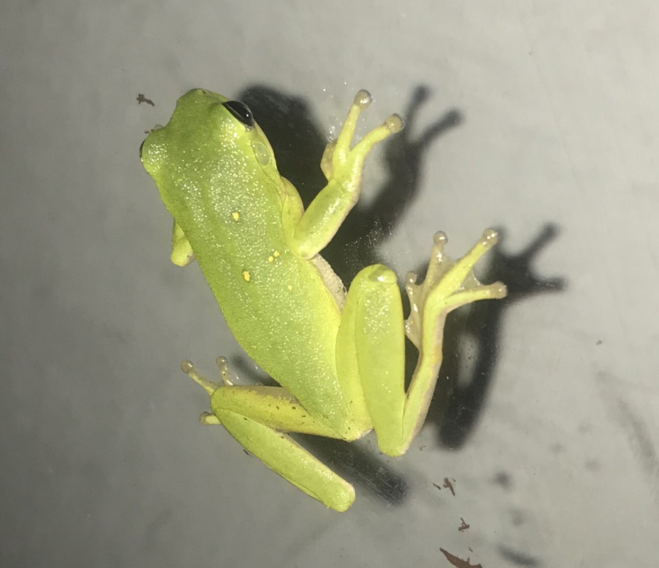 [Image: 3625-FBDB-4-E81-4592-BA70-87952-E91-B6-B0.jpg]