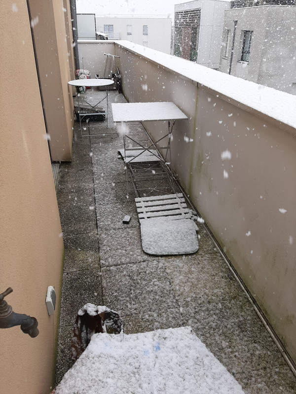 [Image: 20210124-140058.jpg]