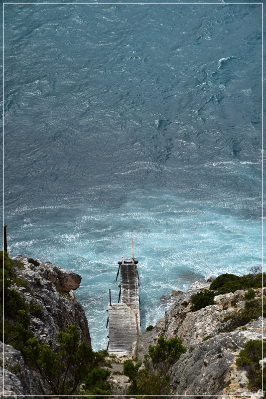 Australia (I): toma de contacto - Blogs de Australia - Kangaroo Island (37)