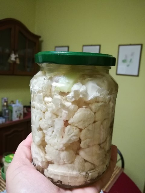 Kép