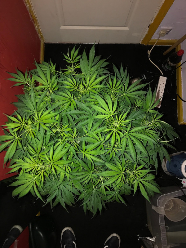 FA7A8E20-AC16-4C9A-B147-9C3918C39239