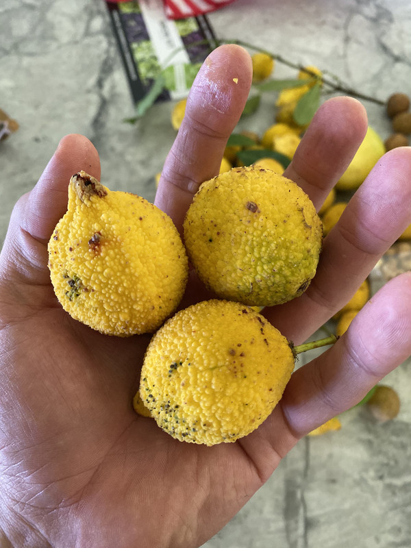 8725CB7B-7714-4C2D-A7AC-C239FEFB816A