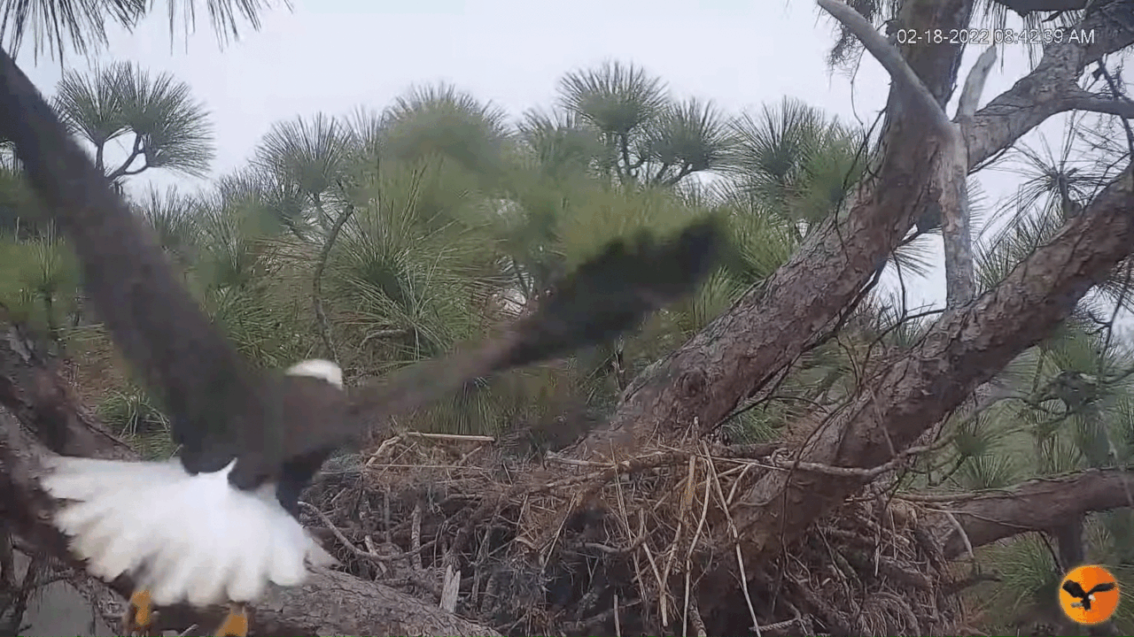 Webp.net-gifmaker (2)