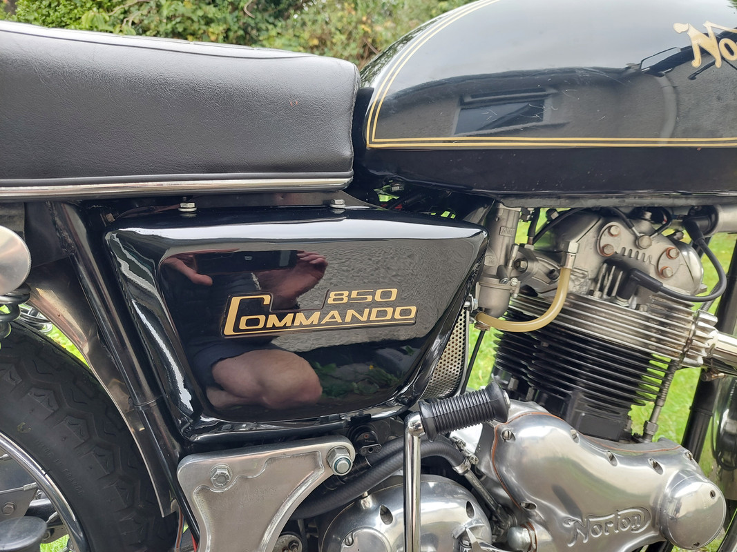 What Did You Do With Your Commando Today?