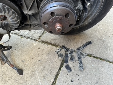 021ED694-5FAA-4B42-A4E2-DD6C1B00AA95_4_5005_c