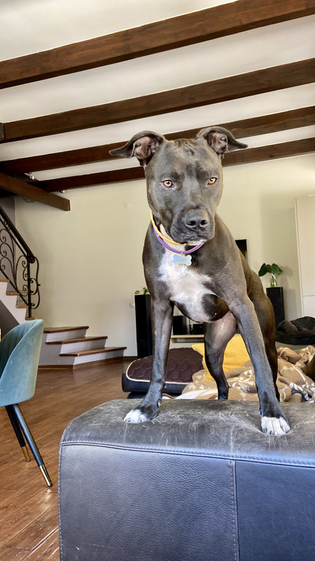 AE5A1A5B-115B-46F6-B4AC-B2F9B32F26C2