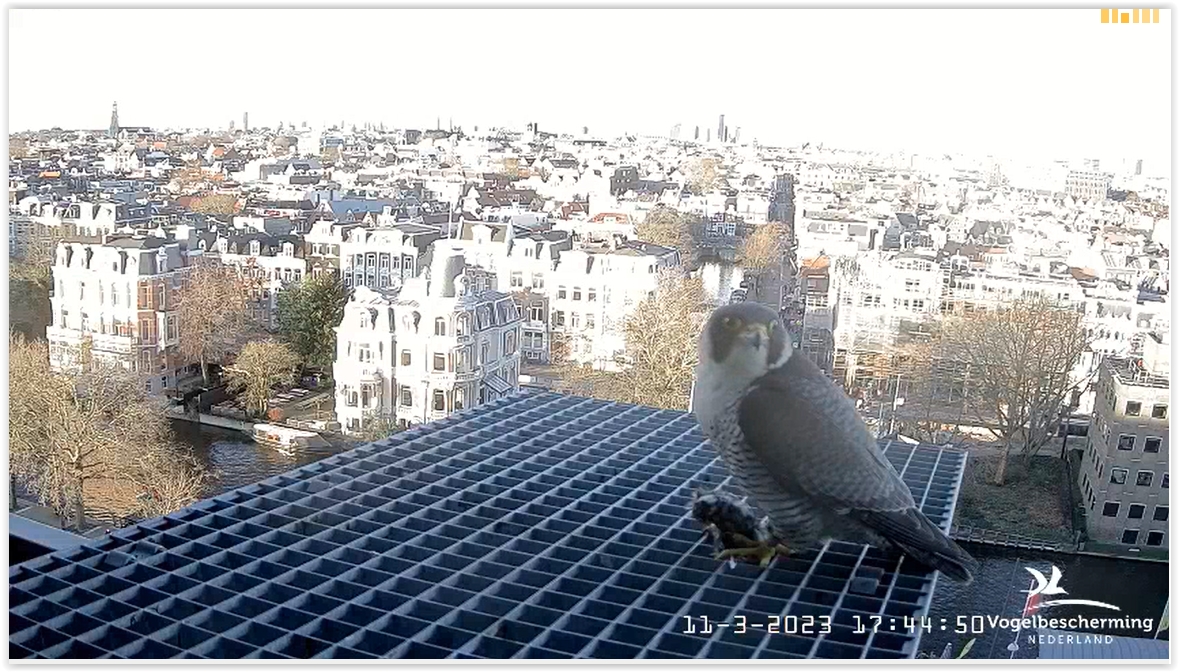 Screen Shot 03-11-23 at 05.45 PM 002