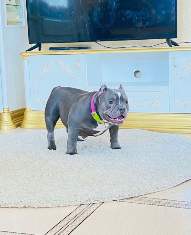 WhatsApp Image 2022-08-22 at 13.17.10 (1)