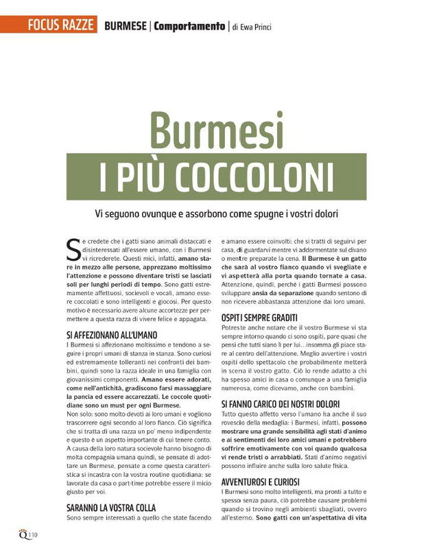 QuattroZampe Feb 2024 (11)