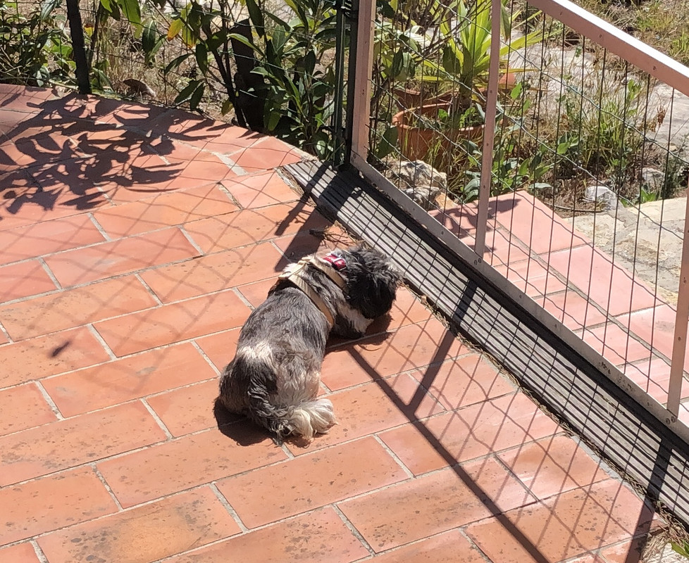 [Image: D7-FB4-FC8-F606-4864-9-E2-D-6-ACD4-AE5307-D.jpg]