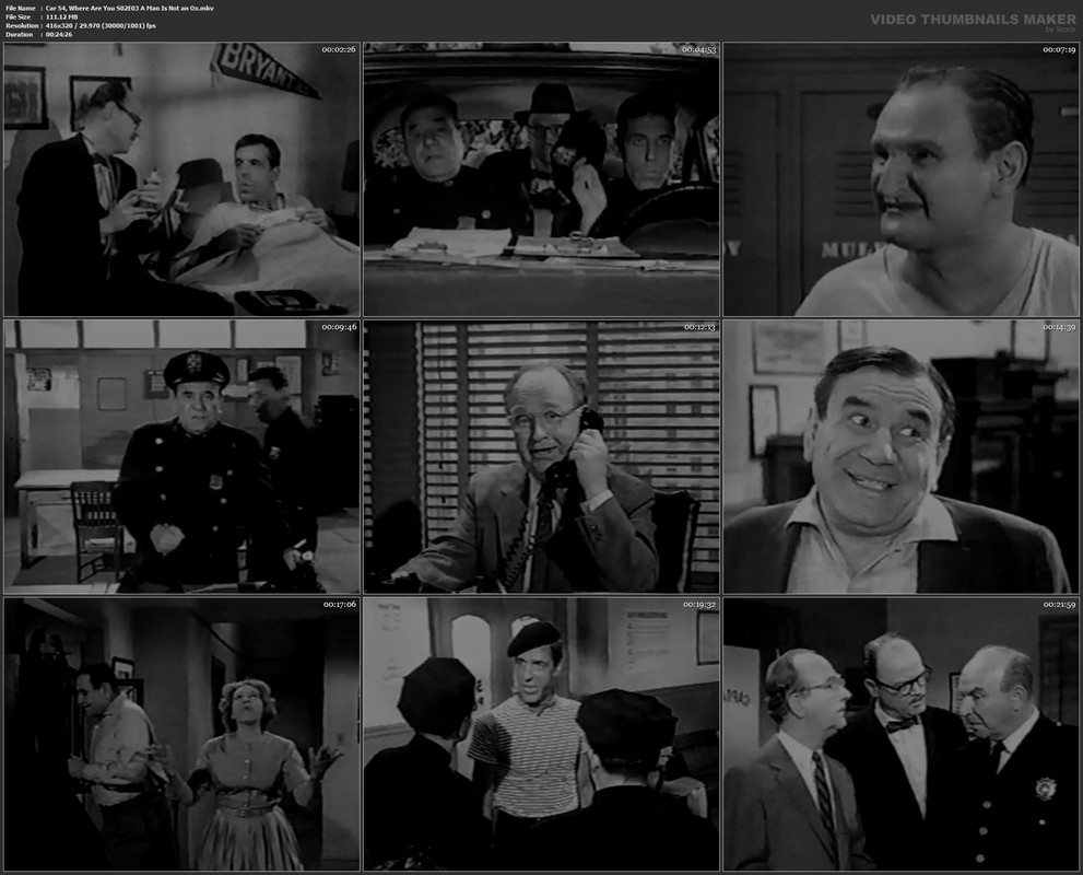 Car 54, Where Are You S02E03 A Man Is Not an Ox.mkv