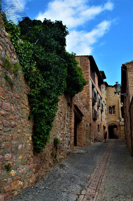 ALQUEZAR-19-4-2017-HUESCA - Los pueblos más bonitos de España-2010/2023 (94)