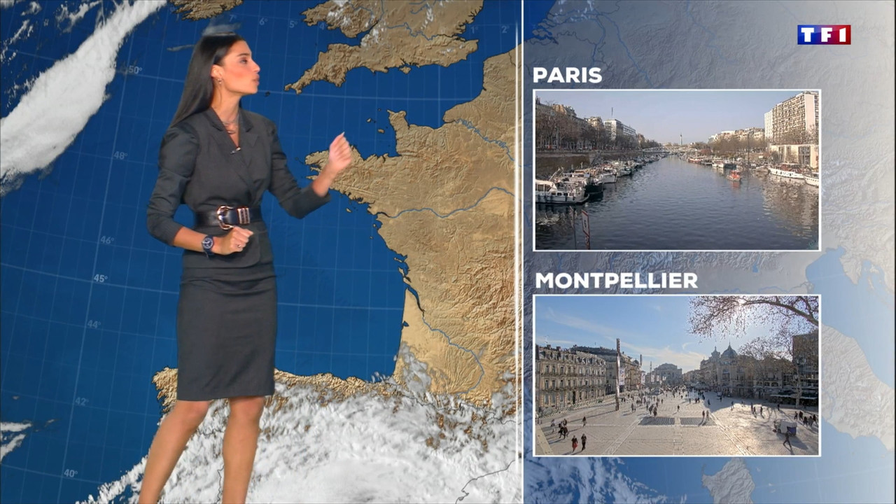2022-03-24_20_00_TF1_Le-20h.mp4_snapshot_01.04.20.125